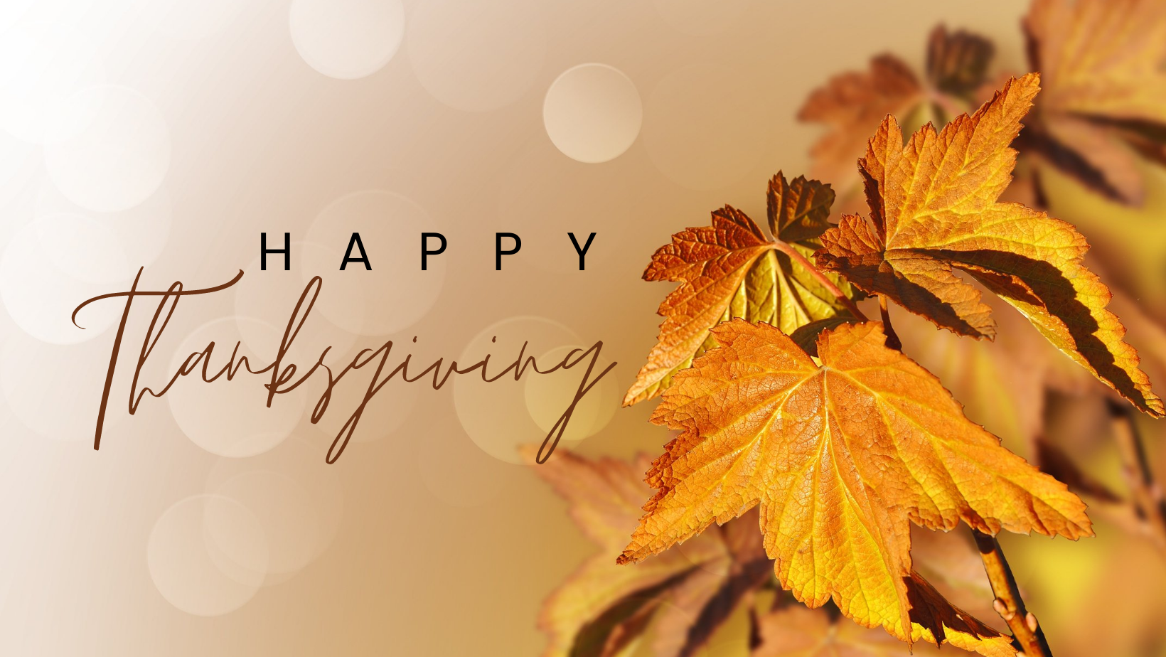 Happy Thanksgiving Cover United States Army Aviation Museum